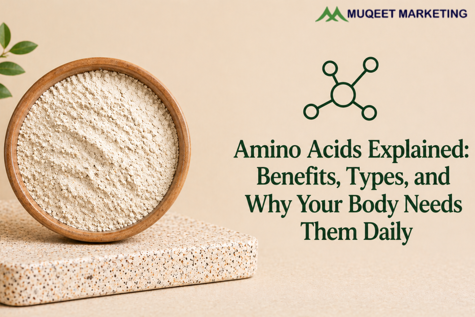 Amino Acids Explained: Benefits, Types, and Why Your Body Needs Them Daily