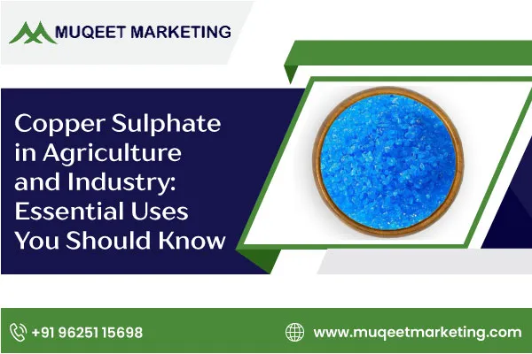 Copper Sulphate in Agriculture and Industry: Essential Uses You Should Know