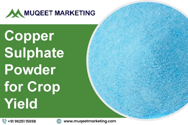 Copper Sulphate Powder for Crop Yield