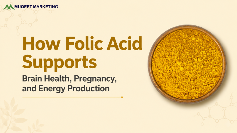 How Folic Acid Supports Brain Health, Pregnancy, and Energy Production