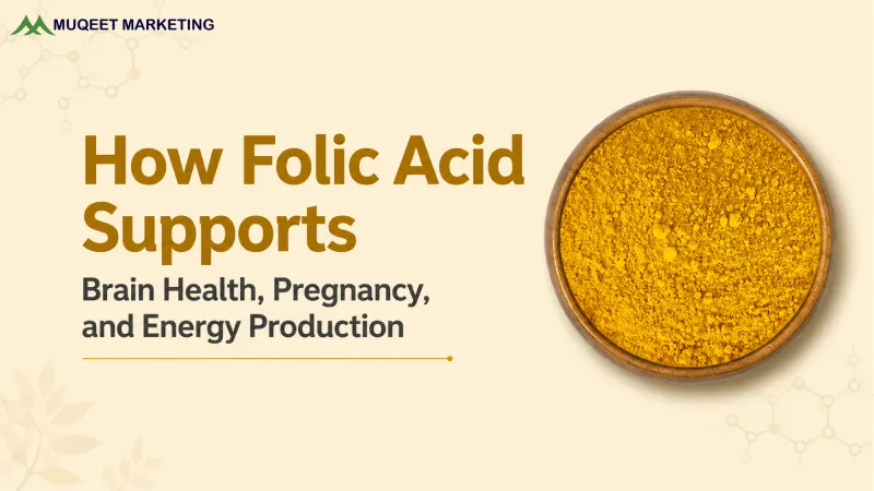 How Folic Acid Supports Brain Health, Pregnancy, and Energy Production
