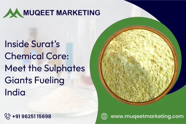 Einside-surats-chemical-core-meet-the-sulphates-giants-fueling-india