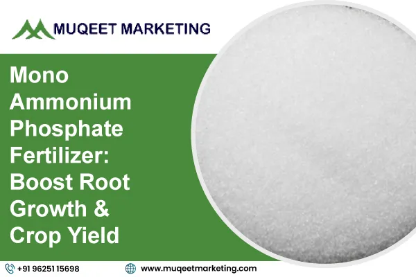 Mono Ammonium Phosphate Fertilizer: Boost Root Growth & Crop Yield