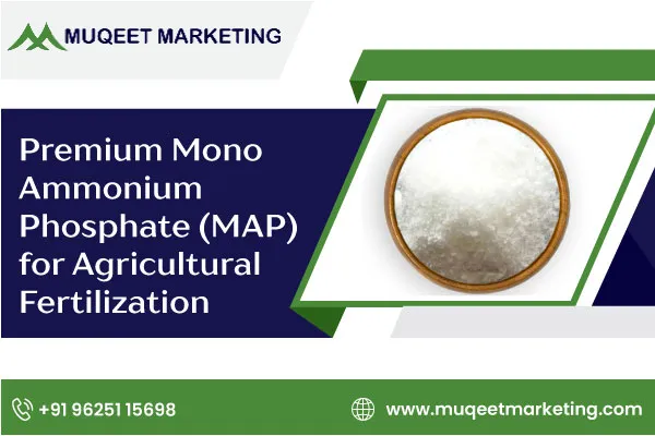 Premium Mono Ammonium Phosphate (MAP) for Agricultural Fertilization