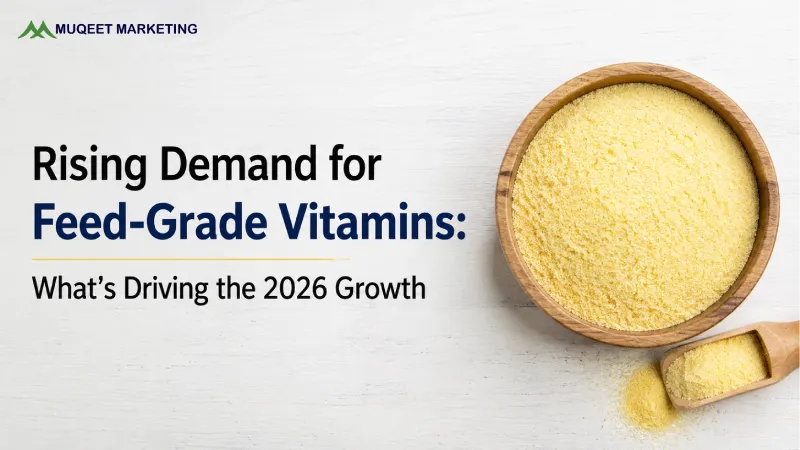 Rising Demand for Feed-Grade Vitamins: What's Driving the 2026 Growth
