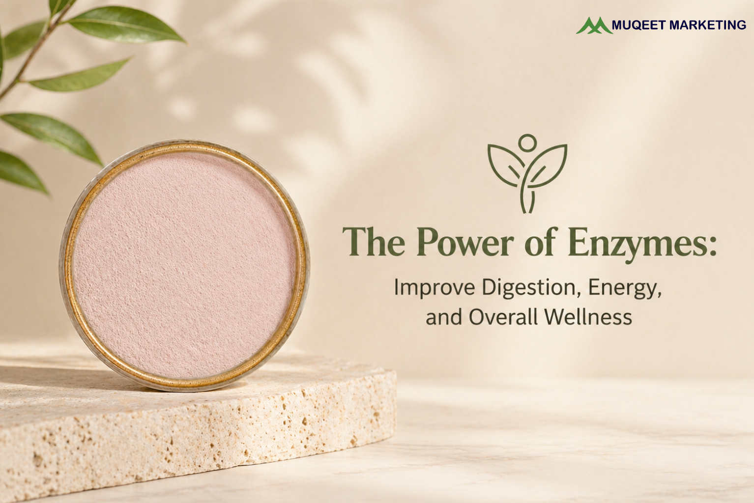 The Power of Enzymes: Improve Digestion, Energy, and Overall Wellness