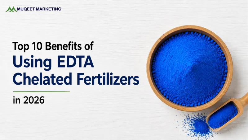Top 10 Benefits of Using EDTA Chelated Fertilizers in 2026