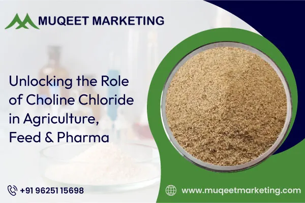 Eunlocking-the-role-of-choline-chloride-in-agriculture-feed-&-pharma